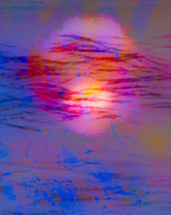 Abstract11