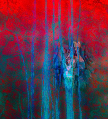 Abstract7