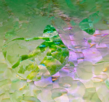 Abstract8