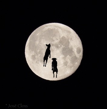 Moon dogs