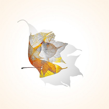 leaf structures