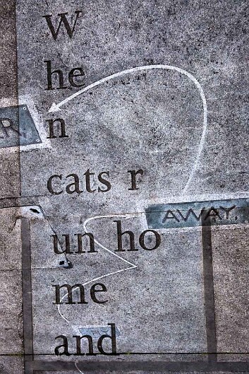 Word flock12